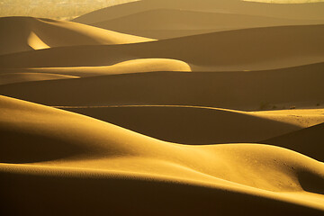 Image showing Background with of sandy dunes in desert