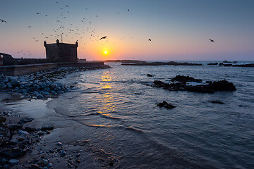Image showing Essaouira fort at sunset with seagulls