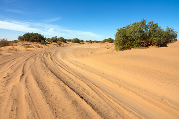 Image showing Road in sand and trees in desert