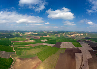 Image showing Aerial view of hilly agricultural fields