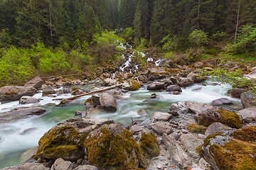 Image showing Forest streams in mountains at spring