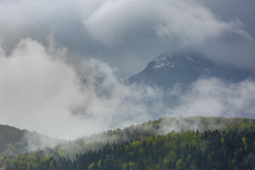 Image showing Clouds and fog in forest mountains