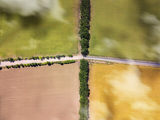 Image showing Aerial top view from drone above crossed roads on agricultural fields.