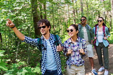 Image showing group of friends with backpacks hiking in forest