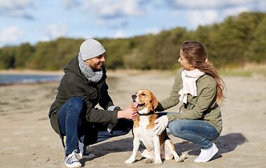 Image showing happy couple with beagle dog on autumn beach