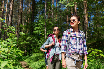 Image showing group of friends with backpacks hiking in forest