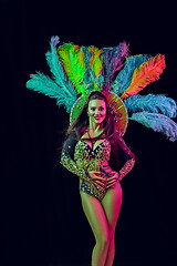 Image showing Beautiful young woman in carnival peacock costume