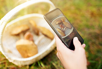 Image showing close up of woman photographing mushrooms