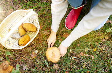 Image showing woman picking mushrooms in autumn forest