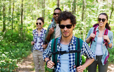 Image showing group of friends with backpacks hiking in forest