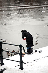 Image showing Female feeding pigeons.