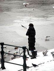 Image showing Female feeding pigeons.