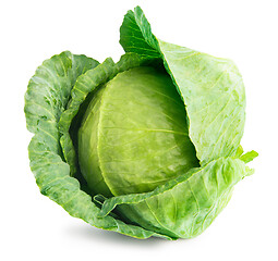 Image showing Head Green Cabbage