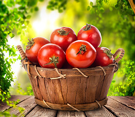 Image showing Tomato in basket 