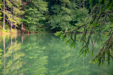 Image showing Colorful lakes in Poland