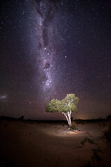 Image showing Illuminated tree under starry sky