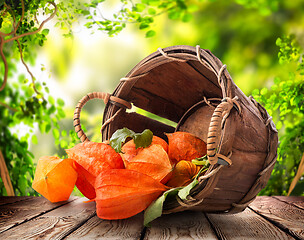 Image showing Physalis in a basket