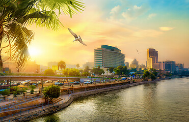 Image showing View of modern Cairo