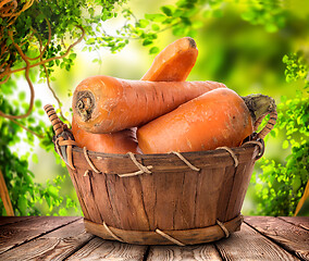 Image showing Carrots on the table