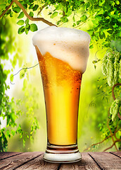 Image showing Beer and hops