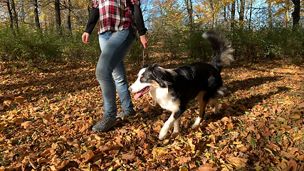 Image showing Woman with dog in park