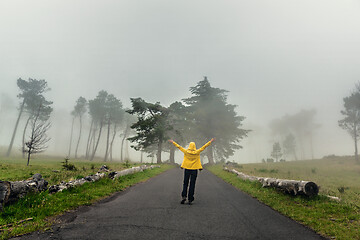 Image showing Walking on a foggy road