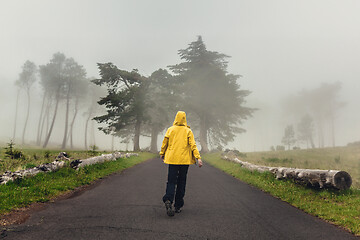 Image showing Walking on a foggy road