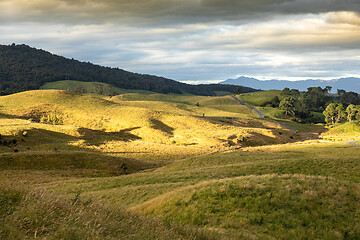 Image showing typical rural landscape in New Zealand