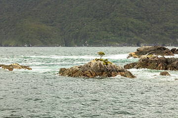 Image showing Doubtful Sound Fiordland National Park New Zealand