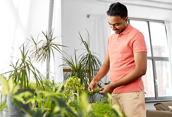 Image showing indian man taking care of houseplants at home