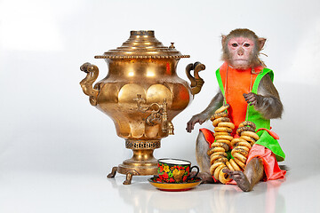 Image showing Monkey And Tea