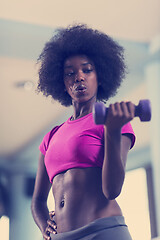 Image showing woman working out in a crossfit gym with dumbbells