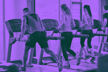 Image showing Group of people running on treadmills