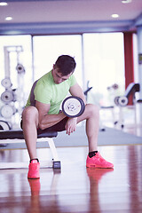 Image showing handsome man working out with dumbbells