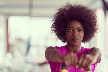 Image showing woman working out in a crossfit gym with dumbbells