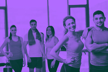 Image showing Group of people exercising at the gym