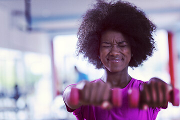 Image showing woman working out in a crossfit gym with dumbbells