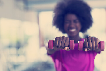 Image showing woman working out in a crossfit gym with dumbbells