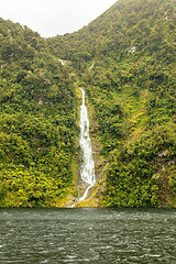 Image showing Fiordland National Park New Zealand