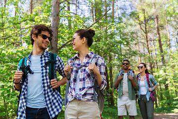 Image showing group of friends with backpacks hiking in forest