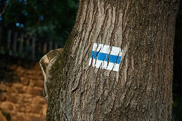 Image showing Hiking trail signs