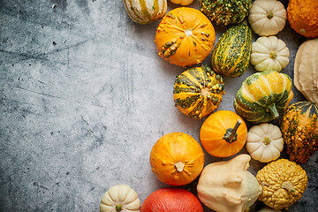 Image showing Beautiful colorful mini pumpkins on grac concrete background, ho