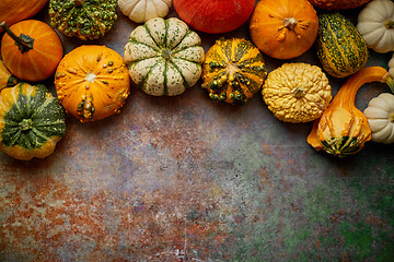 Image showing Different kinds colorful mini pumpkins placed on rusty backgroun