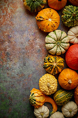 Image showing Different kinds colorful mini pumpkins placed on rusty backgroun