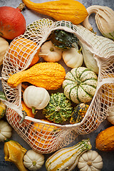 Image showing Various colorful mini pumpkins in string shopping bag. Halloween or Thanksgiving day