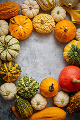 Image showing From above view of various kinds cute mini pumpkins placed in circle with space with copy space