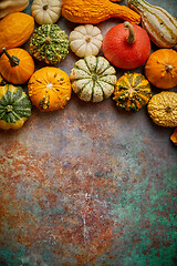 Image showing Different kinds colorful mini pumpkins placed on rusty backgroun