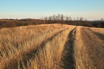 Image showing Countriside dirt road landscape, pale autumn