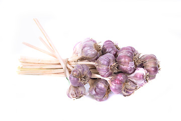 Image showing garlic