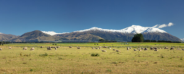 Image showing Mount Taylor and Mount Hutt scenery in south New Zealand